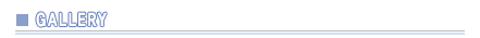 gallery_title.gif